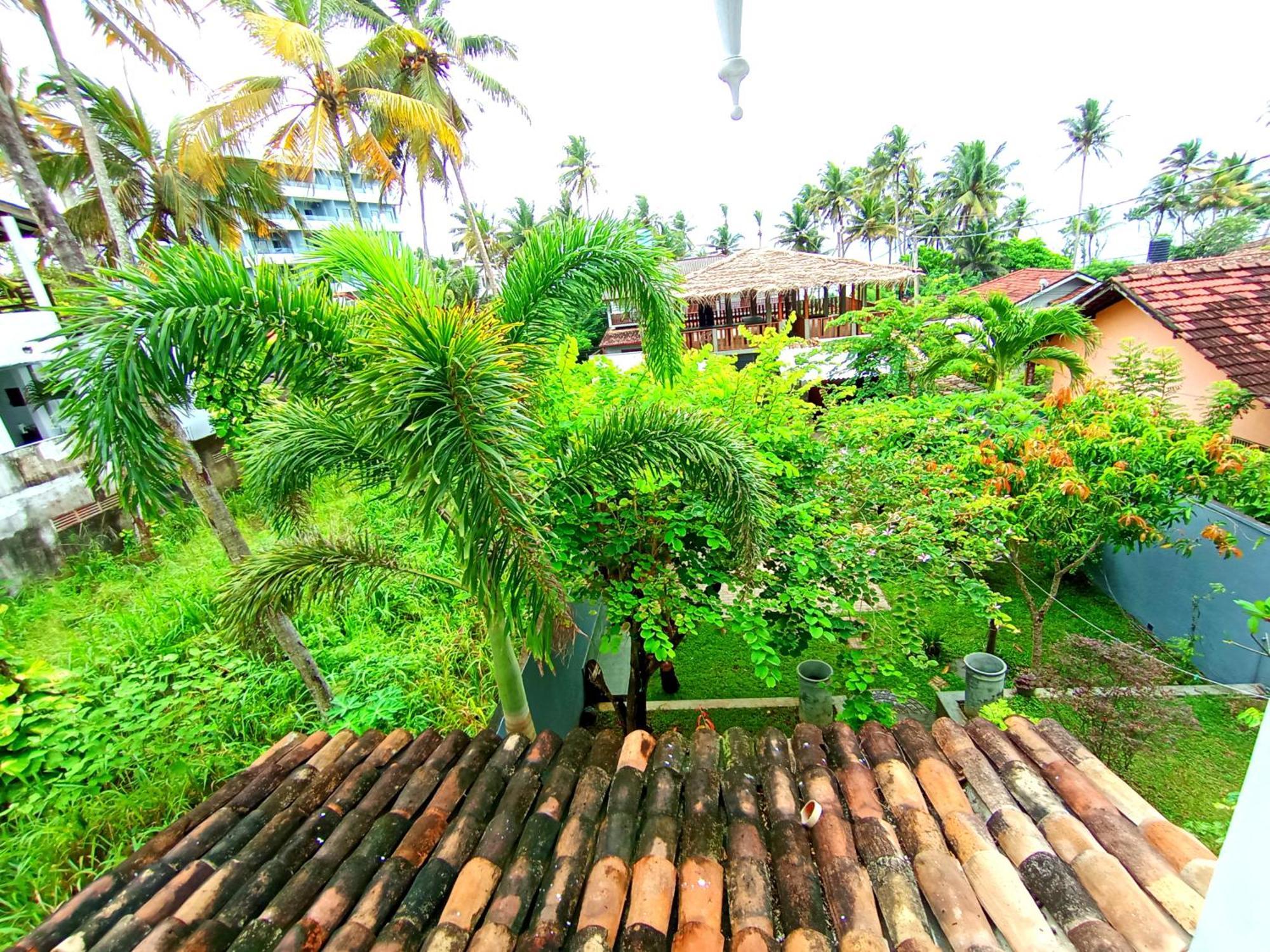 Hotel Lavender mirissa Extérieur photo
