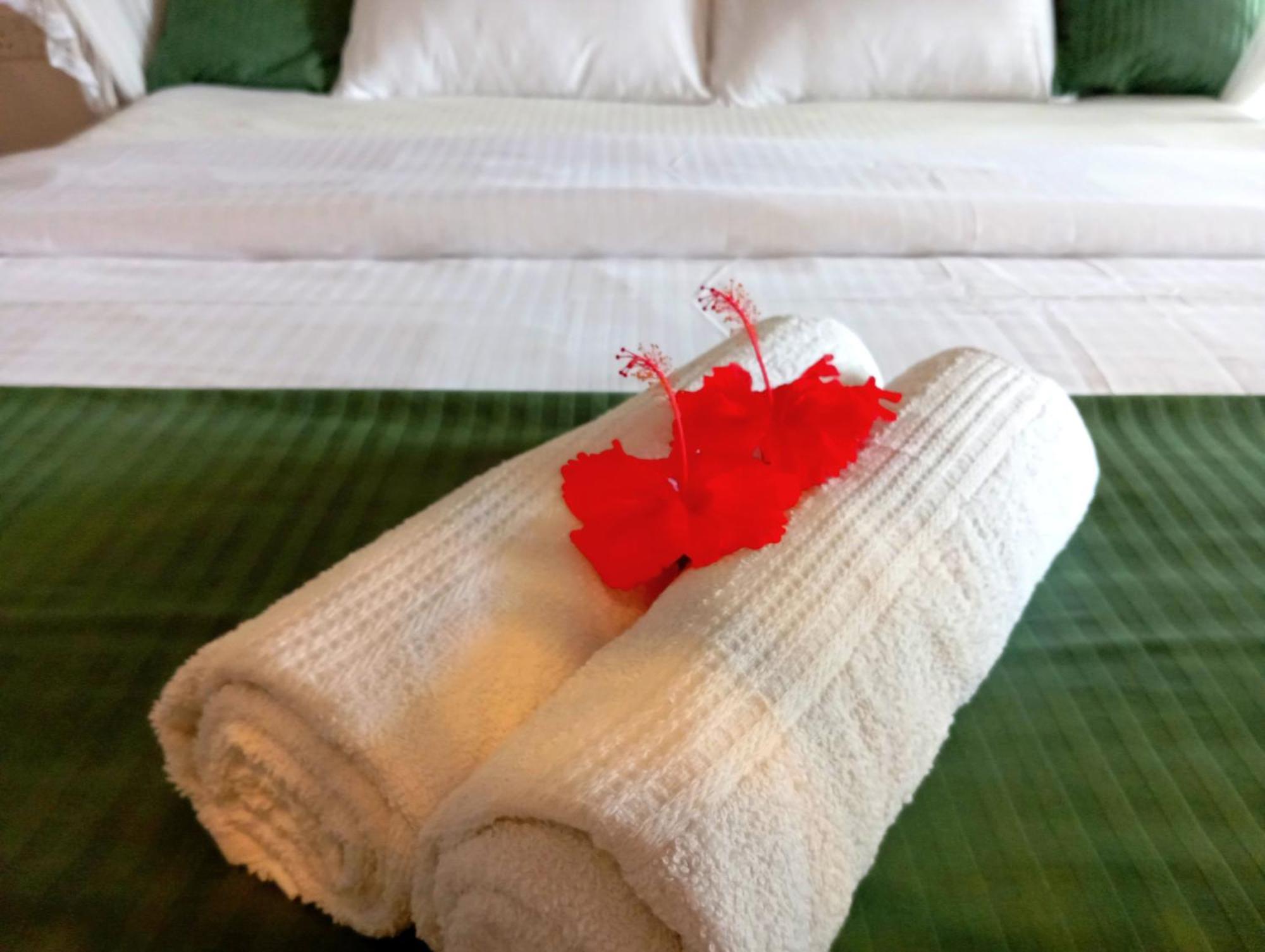 Hotel Lavender mirissa Extérieur photo