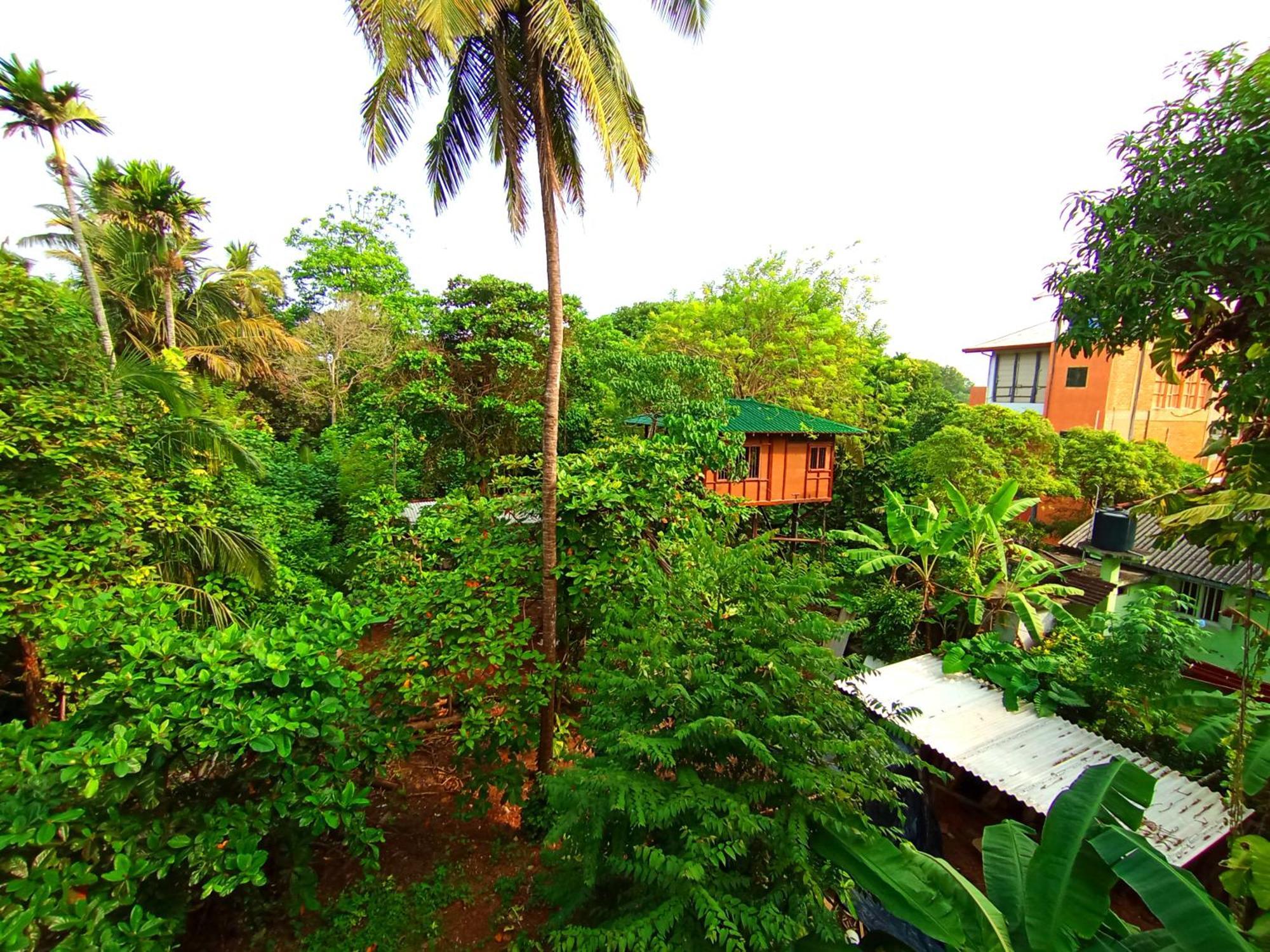 Hotel Lavender mirissa Extérieur photo